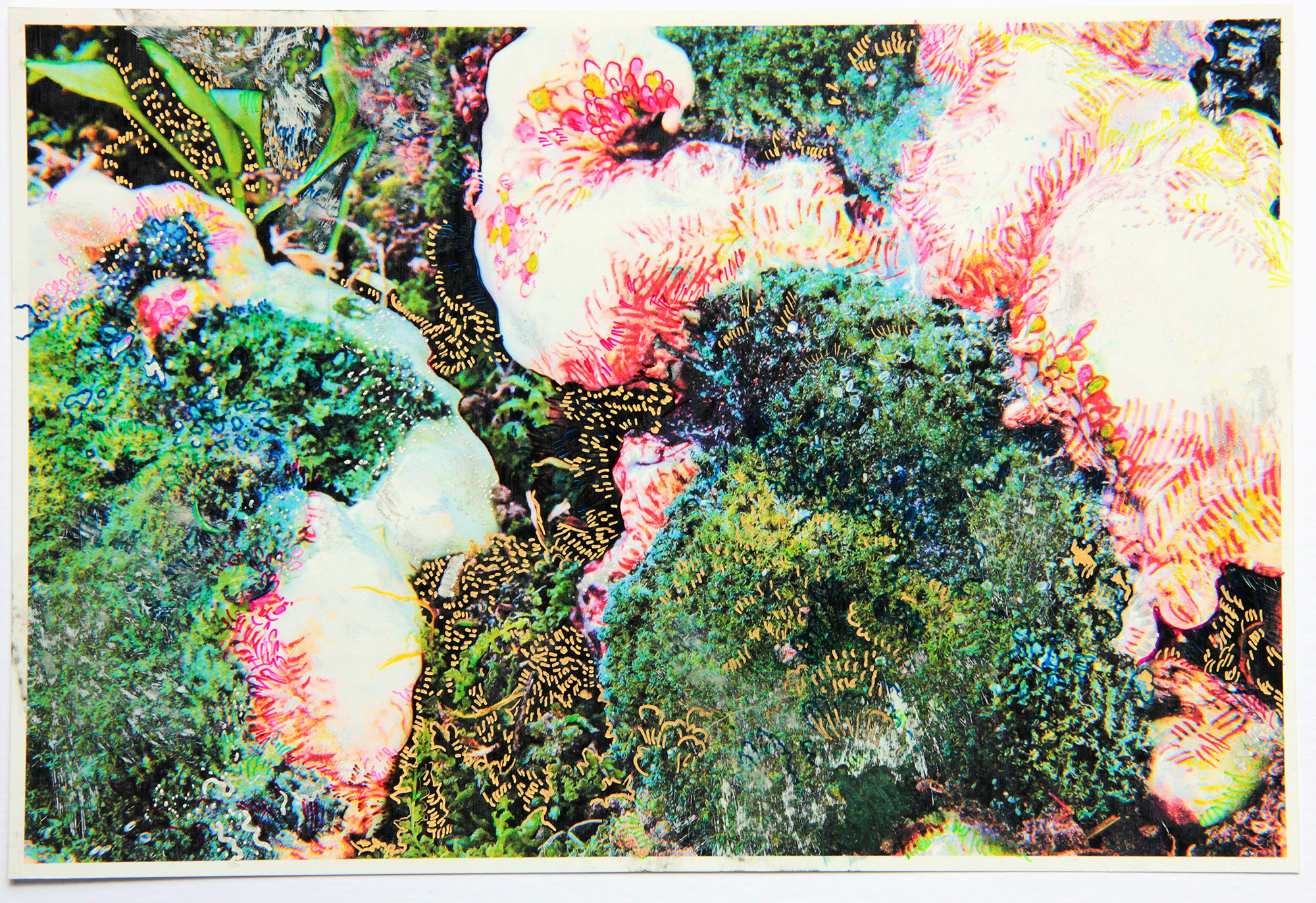 secondNature_3L