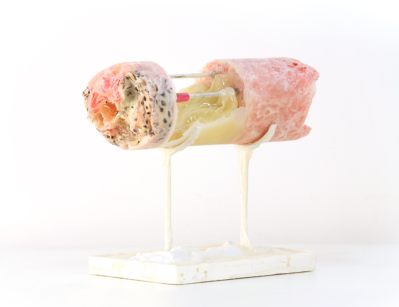 Fabric, urethane foam, epoxy resin, metal, plaster of paris, plastic, acrylic 2017