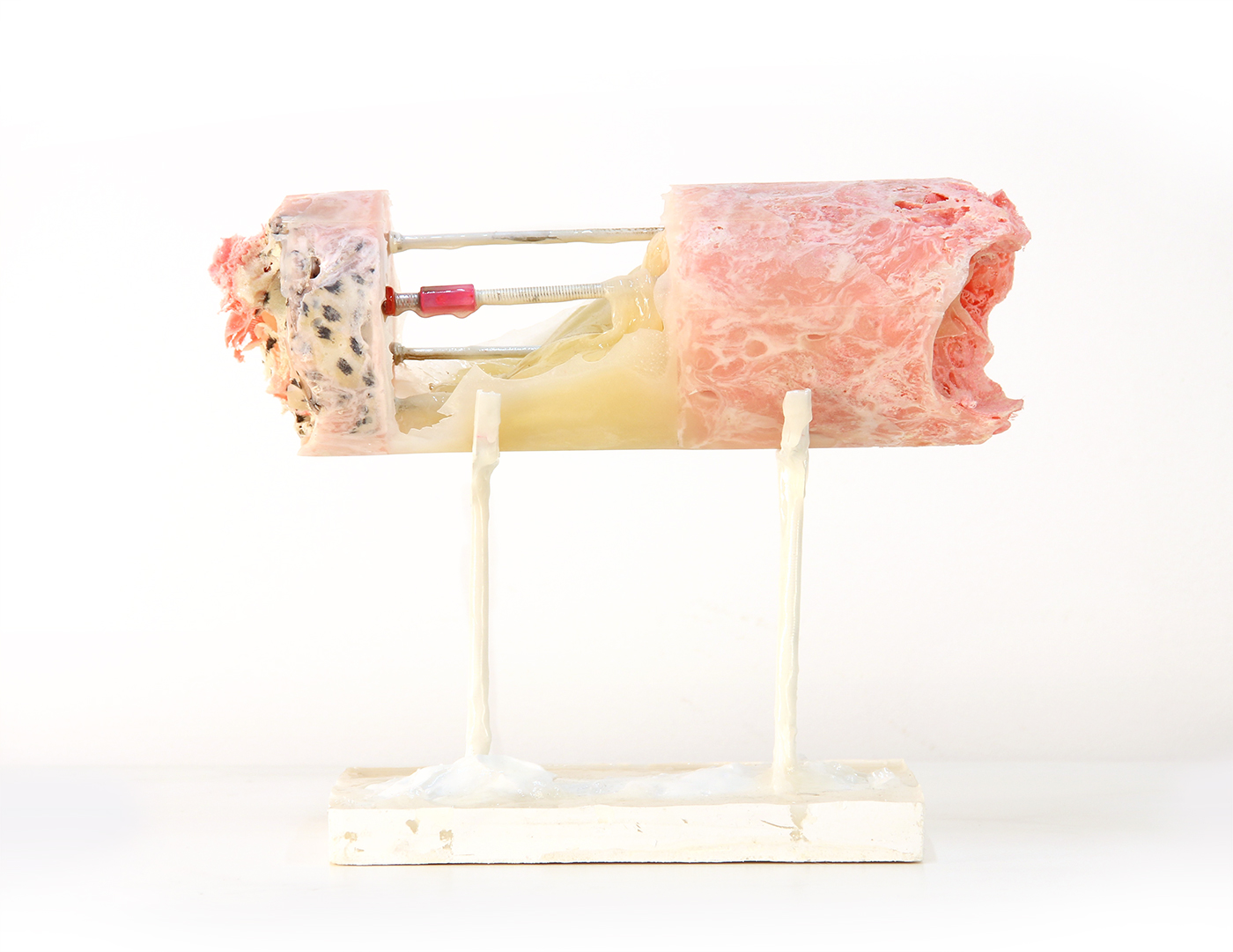 SegmentArm_3
